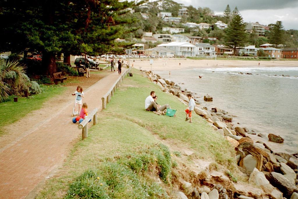 Avoca Beach And Bush Eksteriør bilde